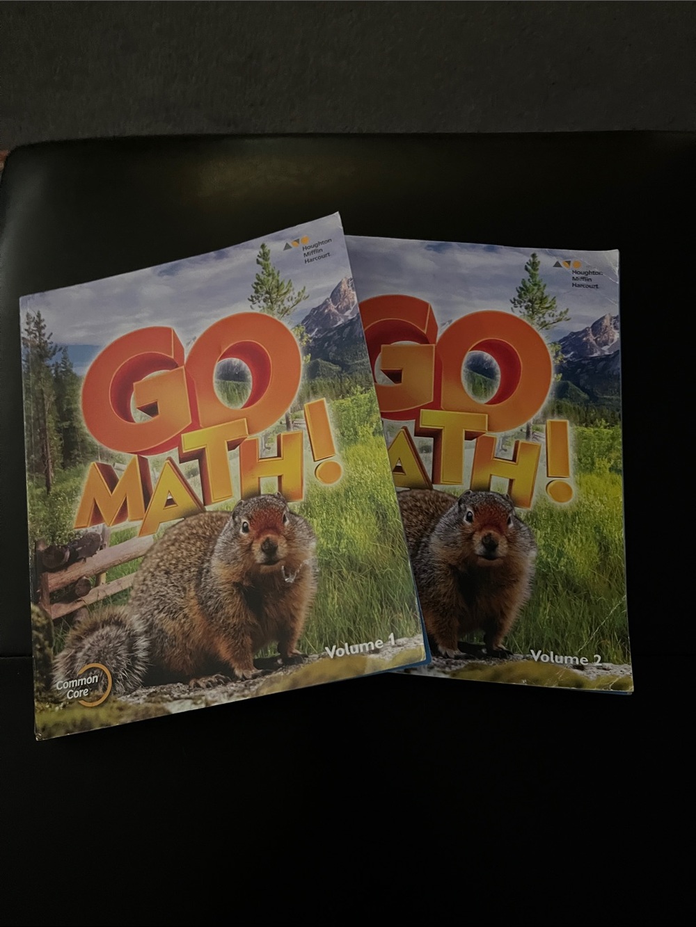GO Math! 4th grade Math Workbooks -volumes 1/2 Set)